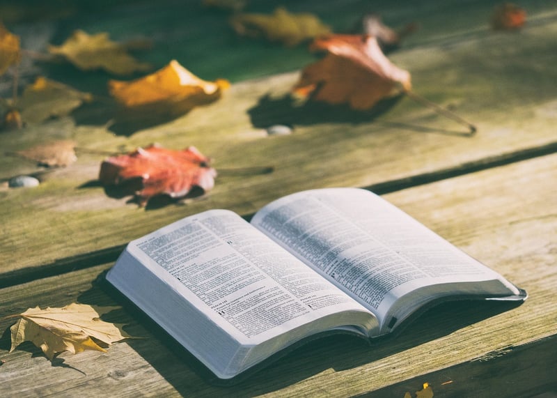 Open Book